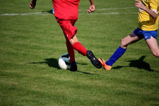 开云真人娱乐官网-“拳王争霸：四川省体育馆拳击赛将诞生新的世界拳王”